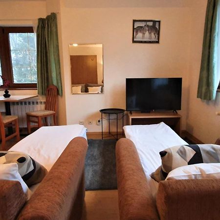 Kokiche Private Apartments Borovec Pokoj fotografie